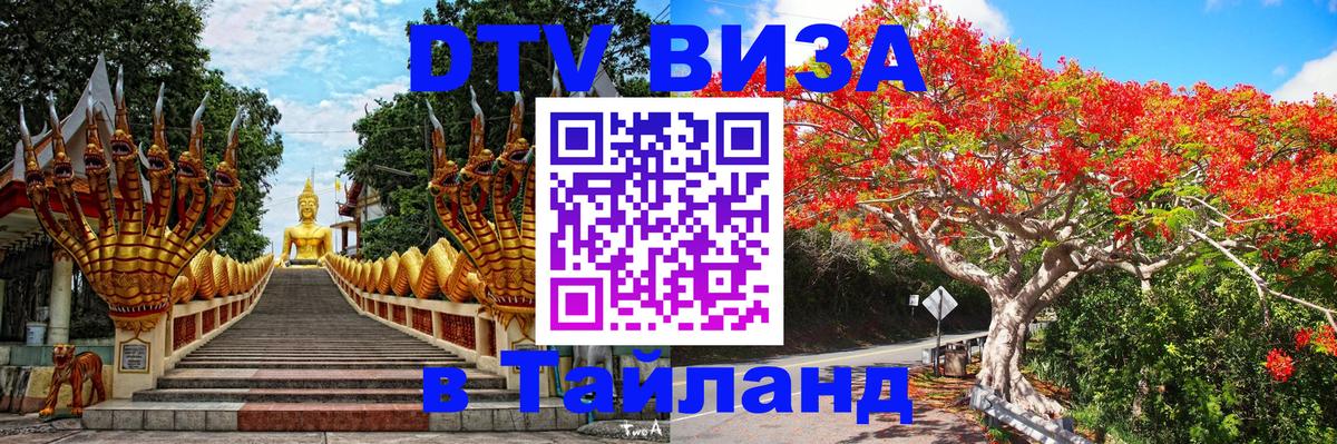 Сколько стоит DTV виза — актуальные цены, оформление даже без документов - 